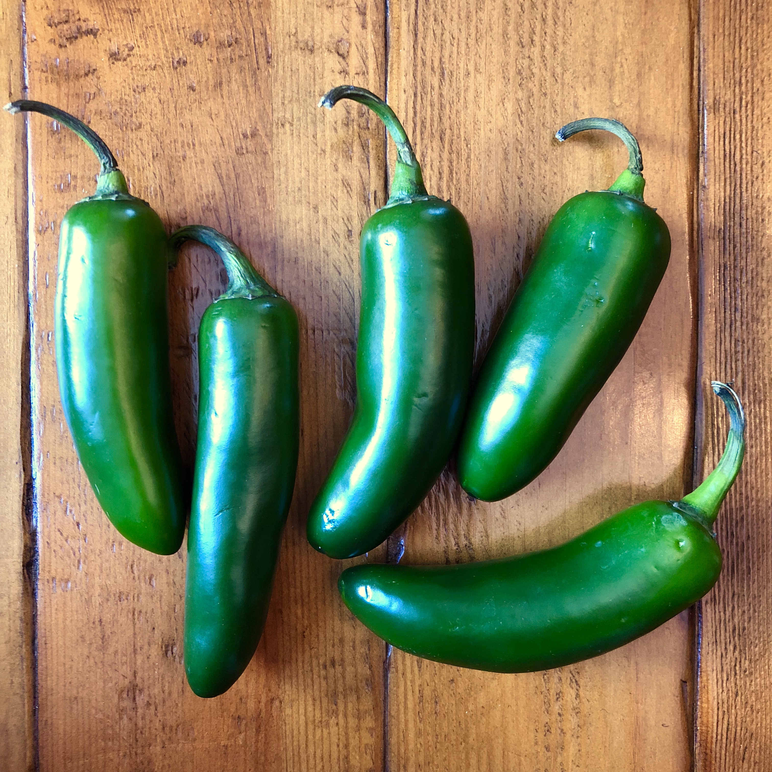 Rosemary Jalapeño Lemonade Thirsty Radish
